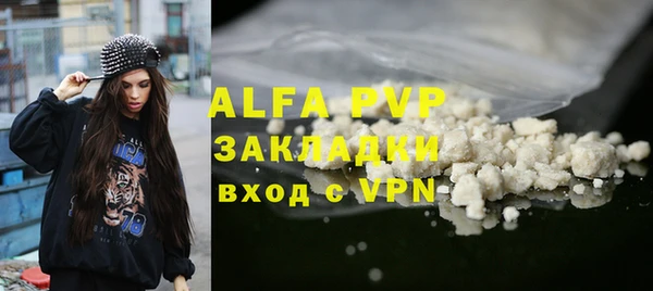 гашик Арсеньев