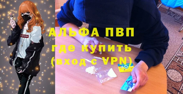 гашик Арсеньев